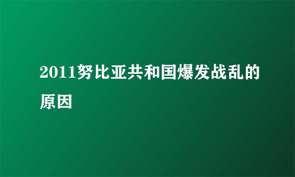 2011努比亚共和国爆发战乱的原因