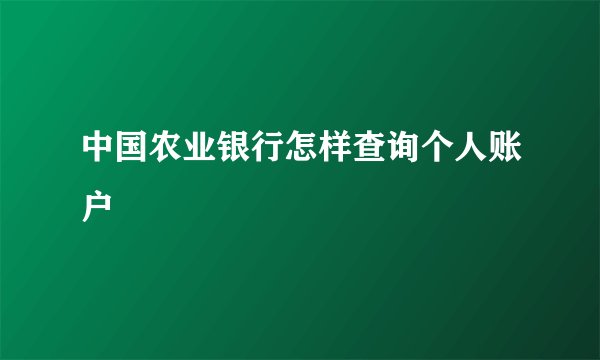 中国农业银行怎样查询个人账户