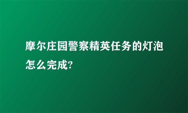 摩尔庄园警察精英任务的灯泡怎么完成?