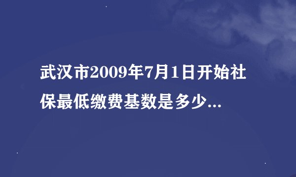 武汉市2009年7月1日开始社保最低缴费基数是多少，单位和各人各负担多少？