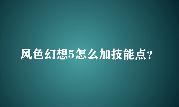 风色幻想5怎么加技能点？