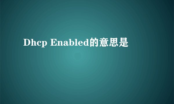 Dhcp Enabled的意思是