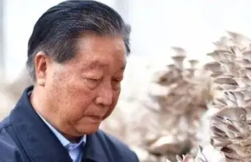 国际友人给女儿改名菌草,这是一种怎样的感情?