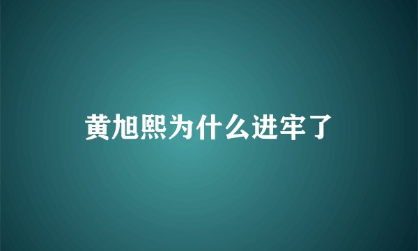 黄旭熙为什么进牢了