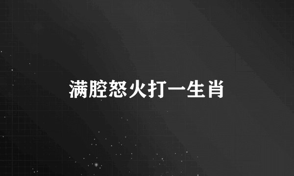 满腔怒火打一生肖