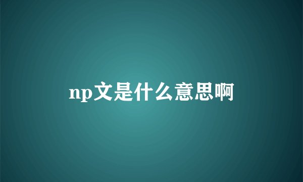 np文是什么意思啊