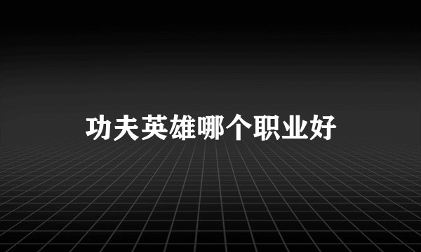 功夫英雄哪个职业好