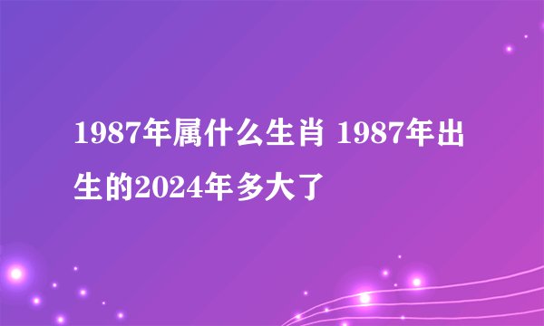 1987年属什么生肖 1987年出生的2024年多大了
