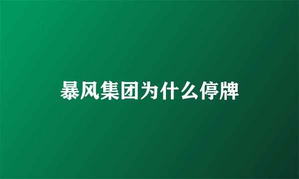 暴风集团为什么停牌