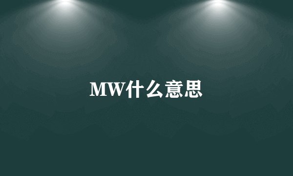 MW什么意思