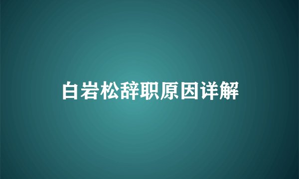 白岩松辞职原因详解