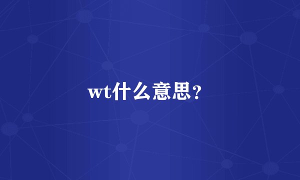 wt什么意思？