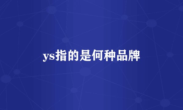 ys指的是何种品牌
