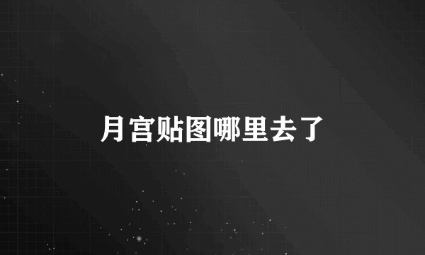 月宫贴图哪里去了