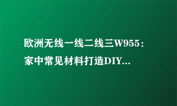 欧洲无线一线二线三W955：家中常见材料打造DIY护肤品！