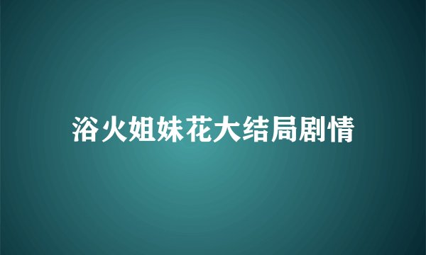 浴火姐妹花大结局剧情