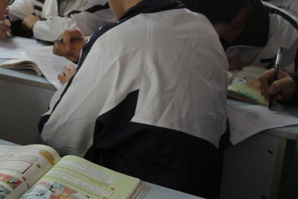 opp的中文是什么意思？