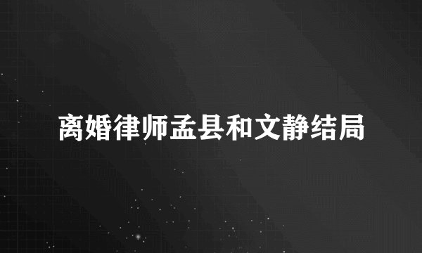 离婚律师孟县和文静结局