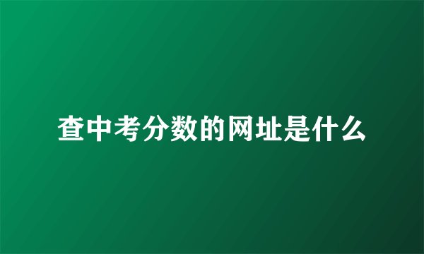 查中考分数的网址是什么