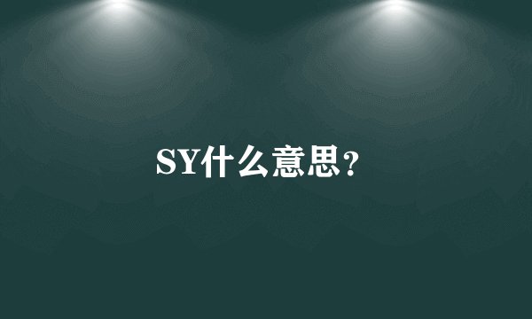 SY什么意思？