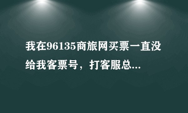 我在96135商旅网买票一直没给我客票号，打客服总是忙，怎么投诉这个网站