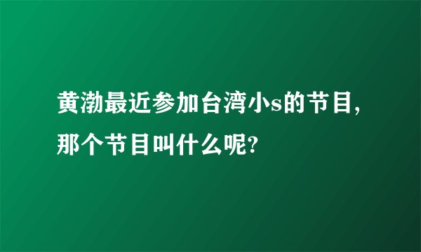黄渤最近参加台湾小s的节目,那个节目叫什么呢?