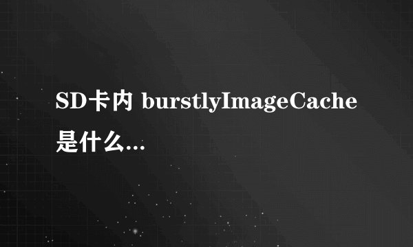 SD卡内 burstlyImageCache是什么？ 可以删除不？