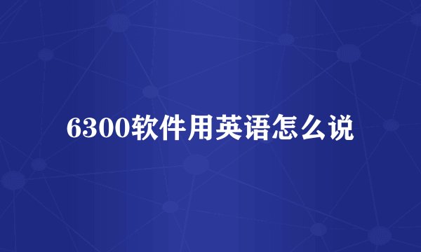 6300软件用英语怎么说