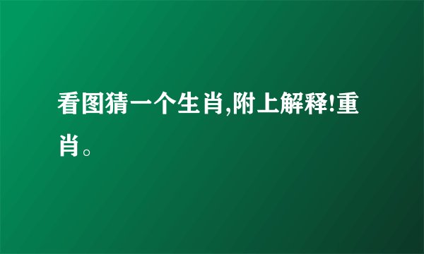 看图猜一个生肖,附上解释!重肖。