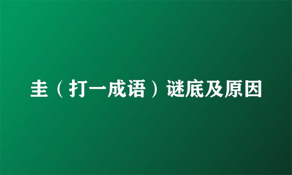 圭（打一成语）谜底及原因
