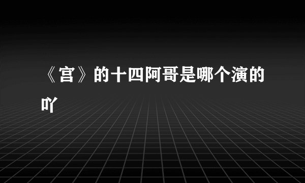 《宫》的十四阿哥是哪个演的吖