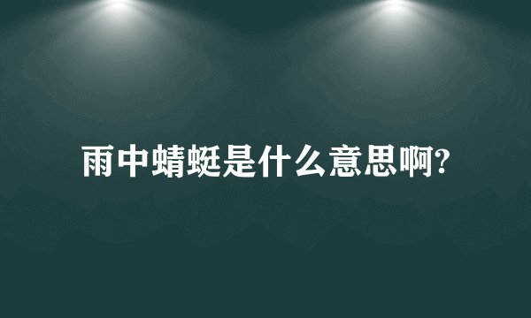 雨中蜻蜓是什么意思啊?