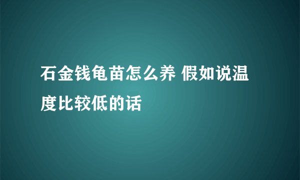 石金钱龟苗怎么养 假如说温度比较低的话