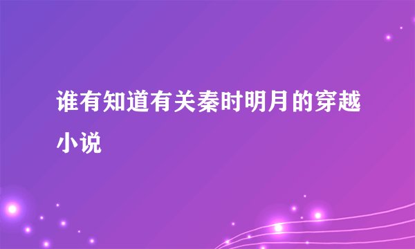 谁有知道有关秦时明月的穿越小说