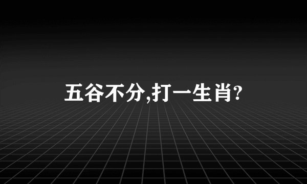五谷不分,打一生肖?