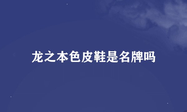 龙之本色皮鞋是名牌吗