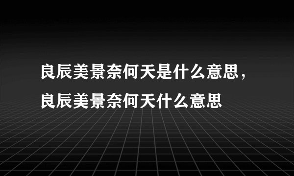 良辰美景奈何天是什么意思，良辰美景奈何天什么意思
