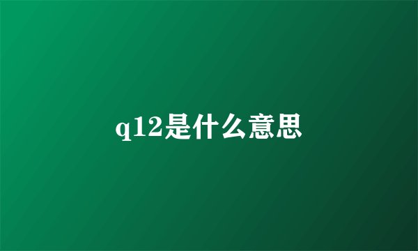 q12是什么意思