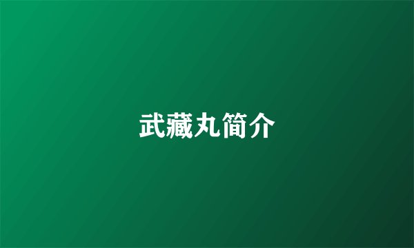 武藏丸简介