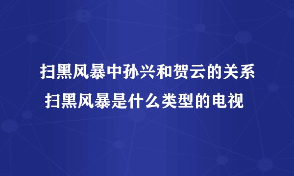 扫黑风暴中孙兴和贺云的关系 扫黑风暴是什么类型的电视