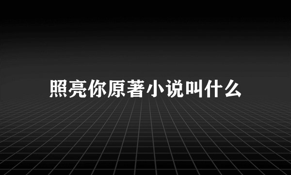 照亮你原著小说叫什么