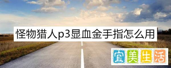 怪物猎人p3显血金手指怎么用