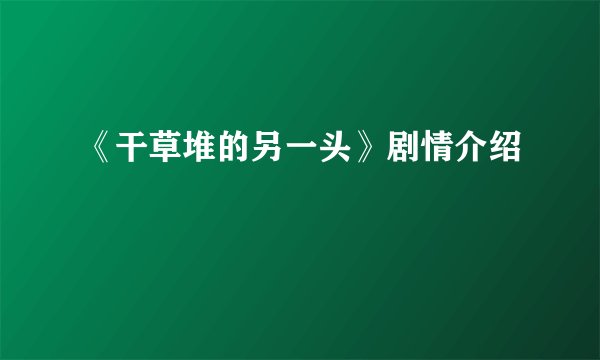 《干草堆的另一头》剧情介绍