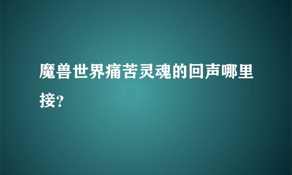 魔兽世界痛苦灵魂的回声哪里接？