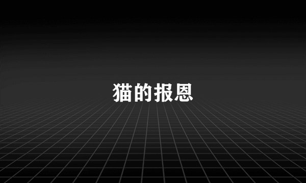 猫的报恩