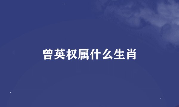 曾英权属什么生肖