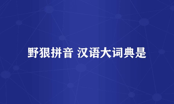 野狠拼音 汉语大词典是