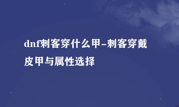 dnf刺客穿什么甲-刺客穿戴皮甲与属性选择