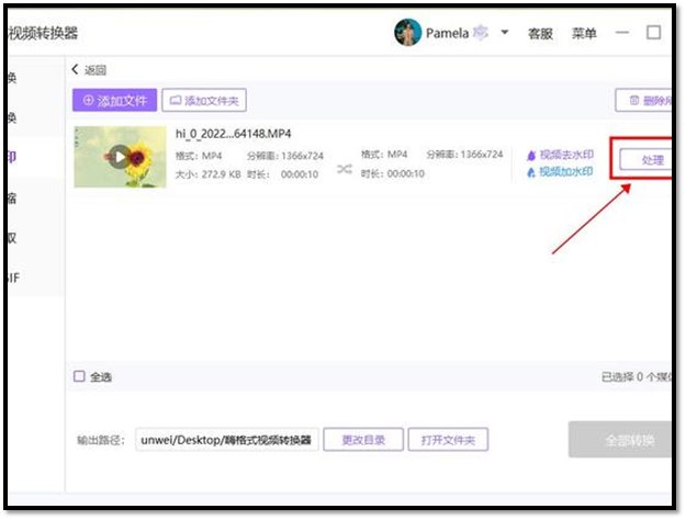 视频怎么去水印