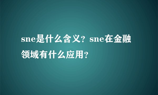 sne是什么含义？sne在金融领域有什么应用？